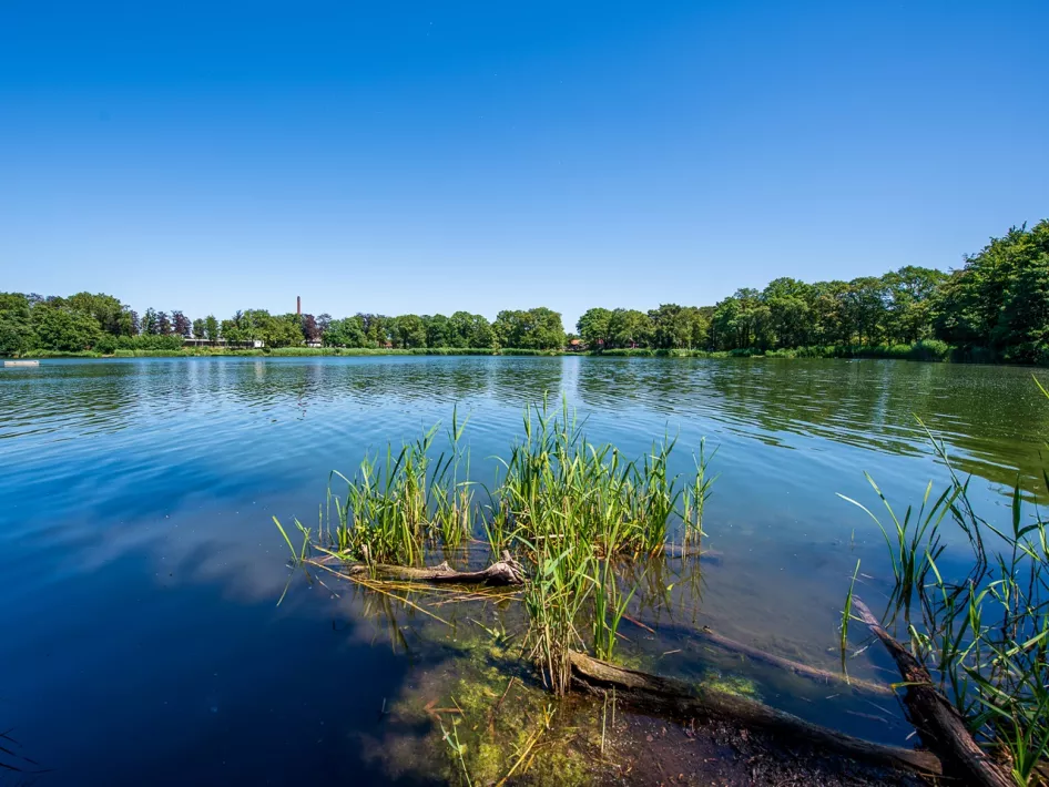 The lake De IJzeren Man where you walk along during the walking route - IJzeren Man route red