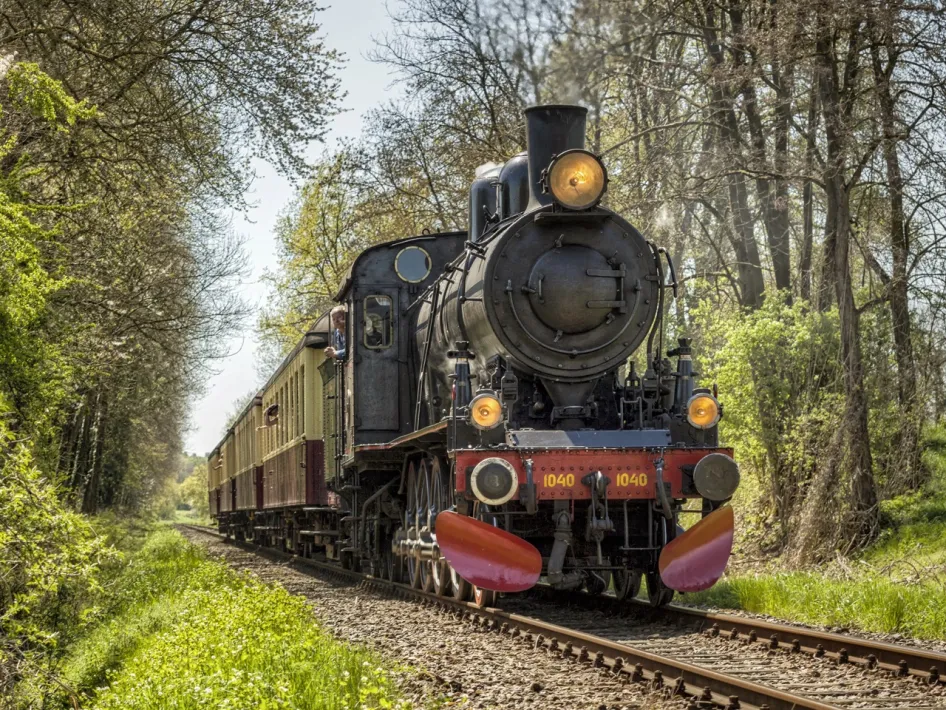 Black steam locomotive of the Miljoenenlijn with classic carriages travels through a wooded area.