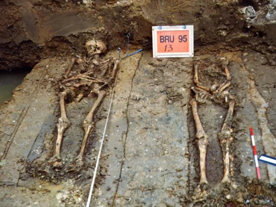 De reus van Brunssum- skeletten