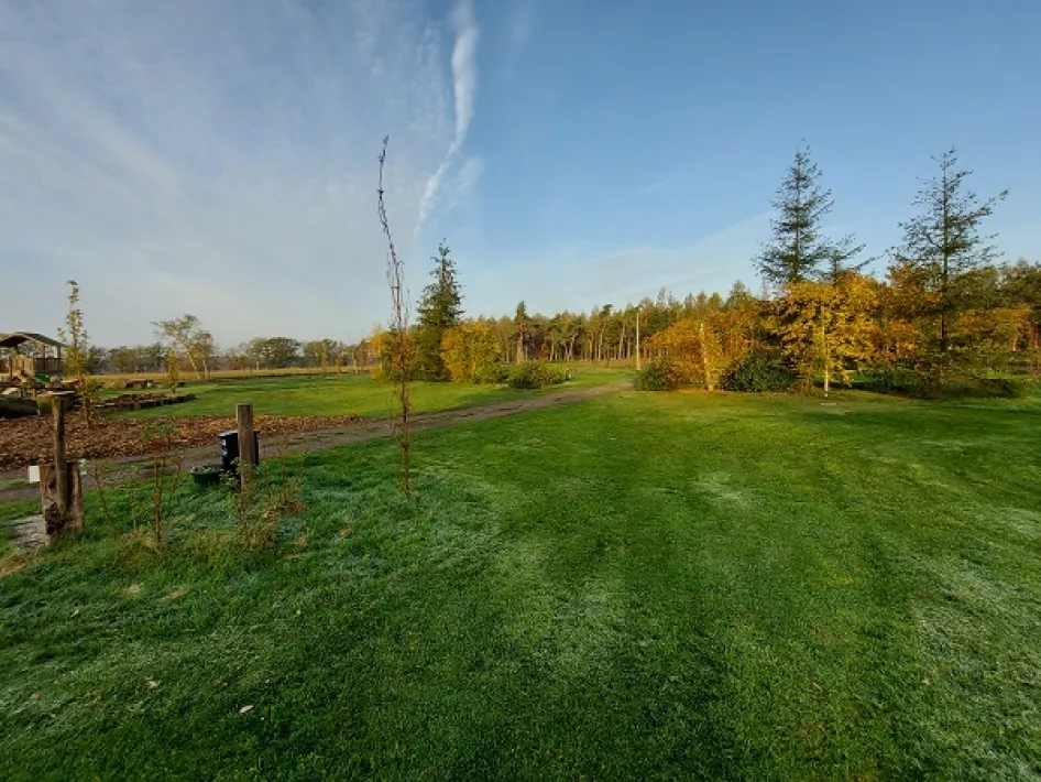 Aan de rand van het bos bij camping den Buizerd