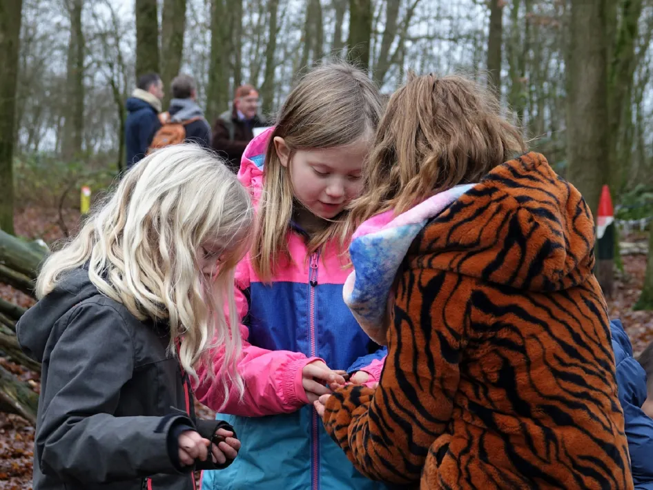 Drie kinderen bekijken iets kleins in hun handen tijdens een speurtocht in het bos.