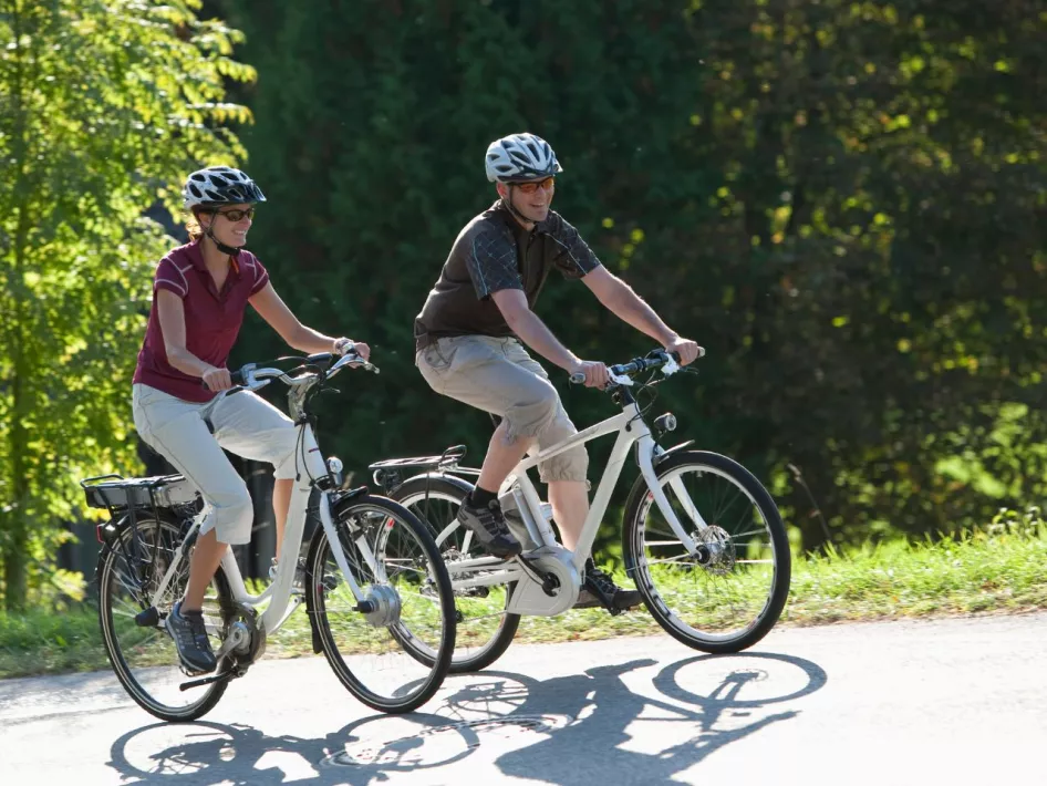 Cycling through the forest