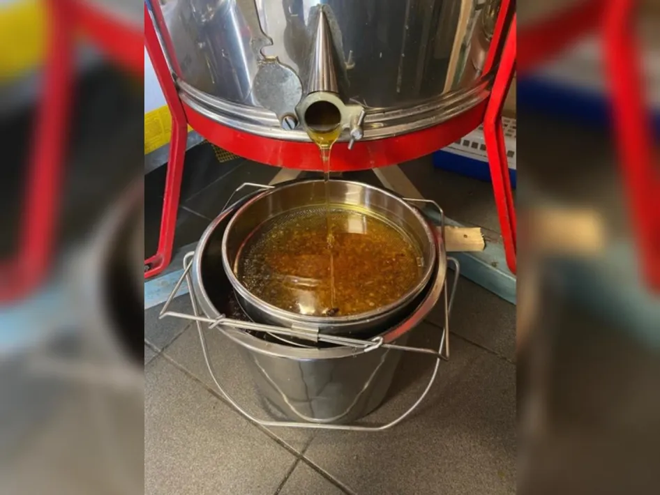 Verse honing stroomt uit een honingslinger door een zeef in een emmer tijdens de honingoogst bij de bijenstand van Bezoekerscentrum Leudal.