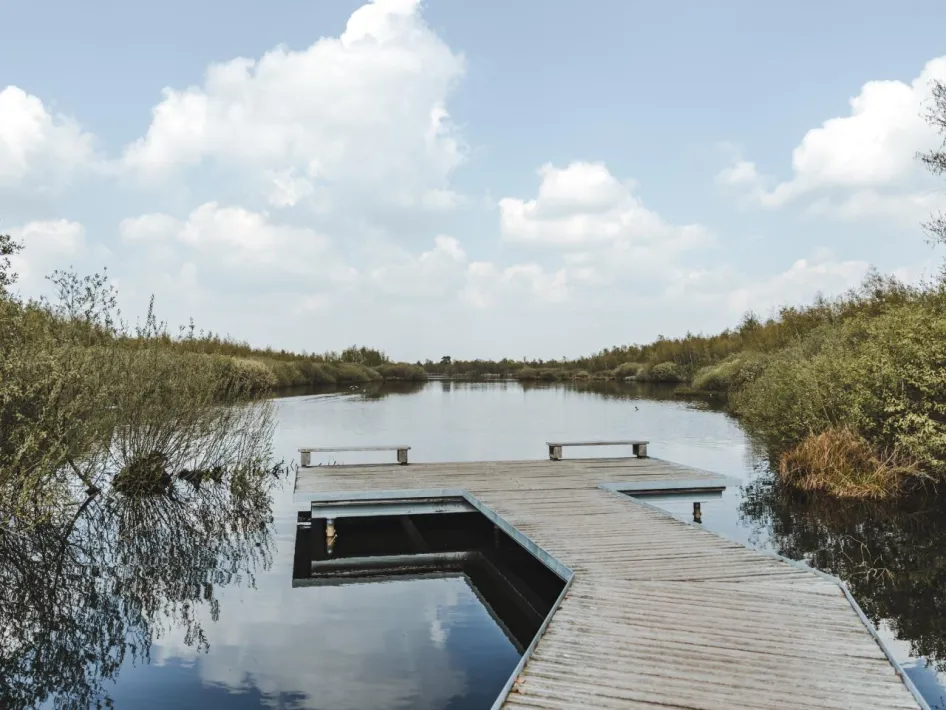 Steiger aan het water in Nationaal Park De Groote Peel, waar je tijdens de excursie trekvogels De Groote Peel kunt zien.