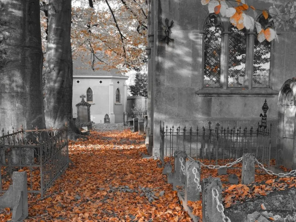 Foto-expositie Guido Seuren met herfstbeeld van D’n aje kirkhaof, met oude graven, bomen en oranje bladeren.