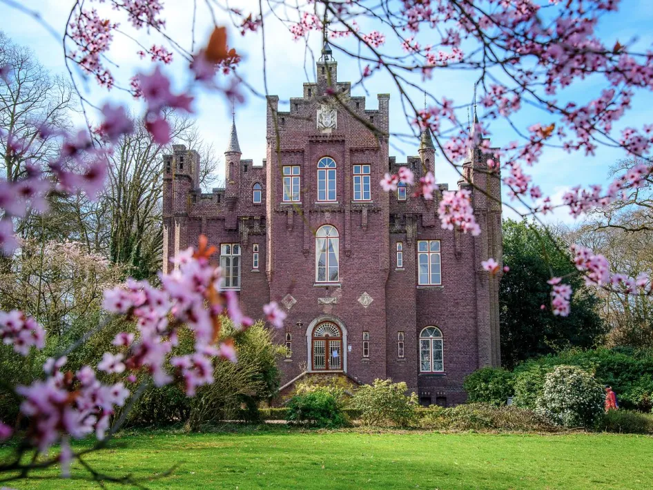 Kasteel Aerwinkel in Roerdalen, gezien door bloeiende roze takken in de voorgrond, met groene tuin en voorjaarslucht op de achtergrond.