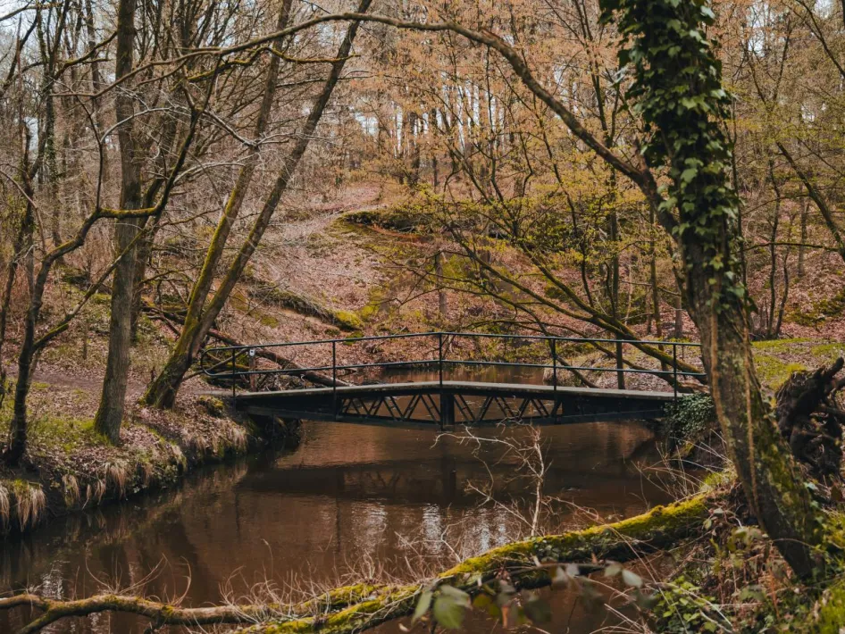 Brug over de beek in het Leudal tijdens de landschapstocht Leudal tussen Nunhem en Neer.