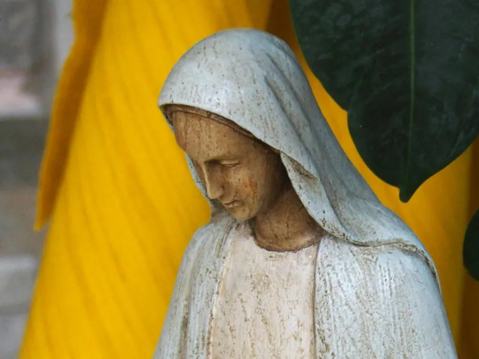 Maria in meesterhanden, beeld van Maria met witte mantel tegen een gele achtergrond.