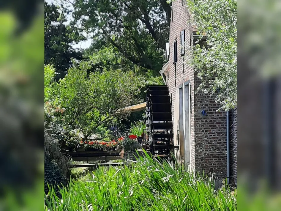Ontdek de natuur van Neeritter tijdens een wandeling langs de Itterbeek, met een historische watermolen tussen het groen.