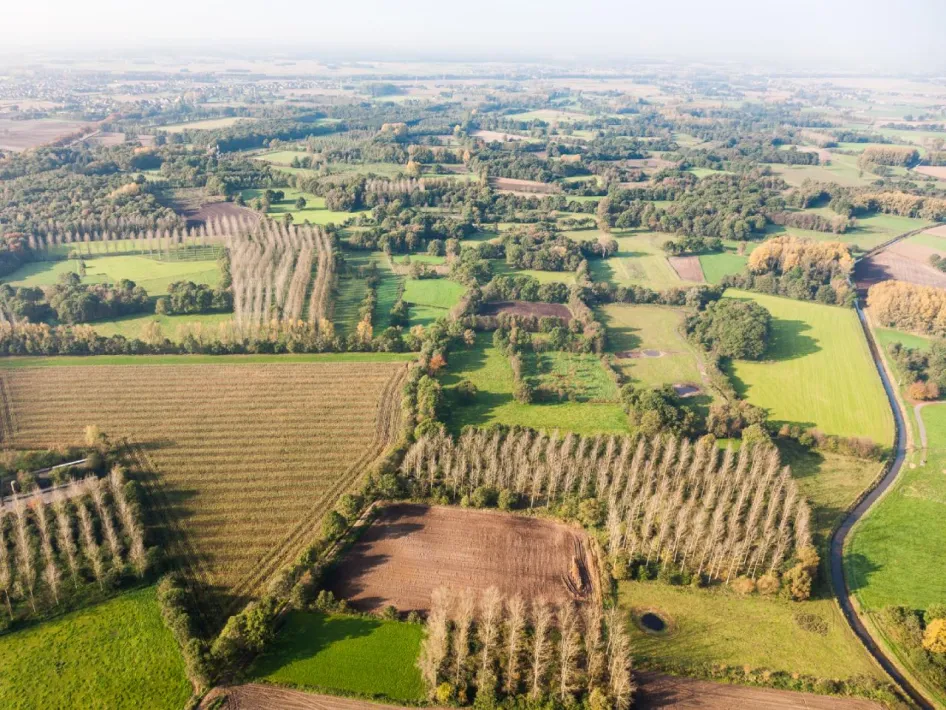 Ontdek de natuur van Neeritter met een weids uitzicht over het afwisselende beekdal, akkers en bosranden rondom de Itterbeek.