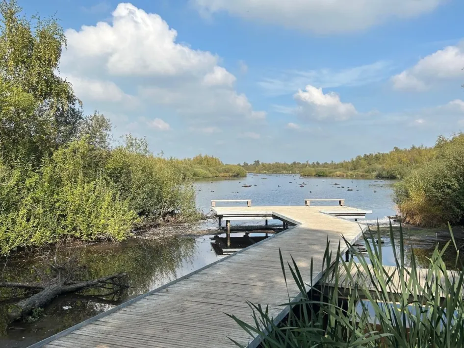 Vlonder aan het water bij buitencentrum De Pelen, locatie van zanggroep Blended Peelpodium in Ospel.