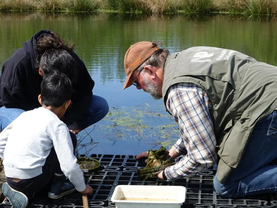 Peelgids zoekt met een gezin naar waterdiertjes tijdens de Dag van het Nationaal Park in De Groote Peel