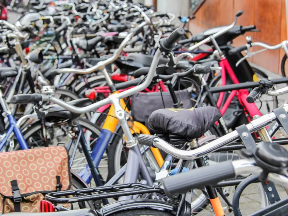 Veel fietsen staan geparkeerd ten behoeve van de Zjwamer Sjómmelroute en tweedehands fietsenmarkt 