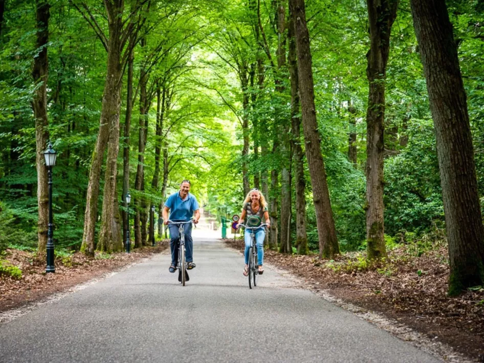 Cycling through the forest