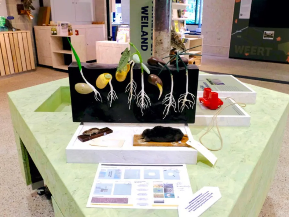 Tentoonstelling bij Natuur- en Milieu Centrum Weert