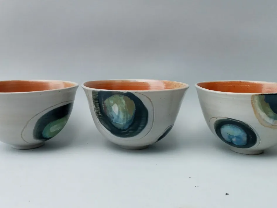 Zes smalle, langwerpige keramische schalen in pastelkleuren met eenvoudige lijntekeningen van voorwerpen zoals een fiets, nijptang en schaar, op een verweerd houten oppervlak.