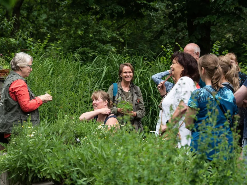 Groep mensen volgt een kruidenexcursie in een groene tuin, onder begeleiding van een gids die uitleg geeft over planten. 