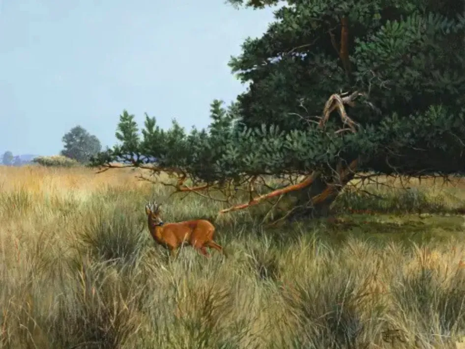 Schilderij van een ree dat tussen hoog gras staat, deels beschut onder een grote dennenboom, met een weids landschap op de achtergrond.