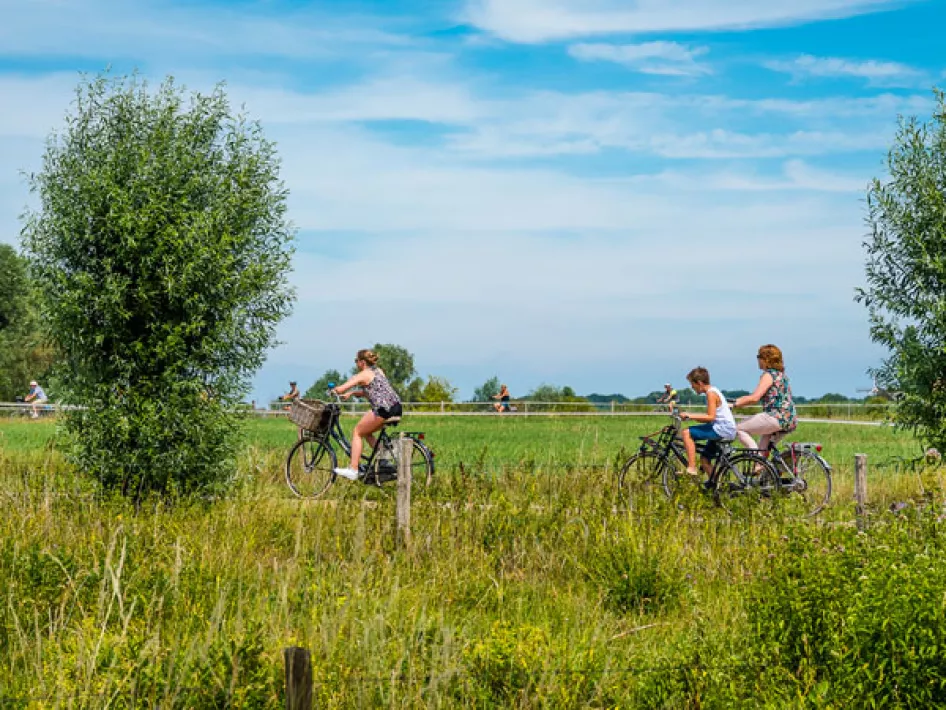 Archeo fietsroute Roermond - Neer