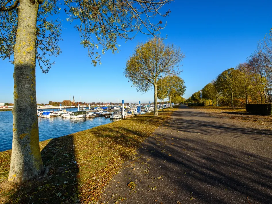 Fietsen rond Camperplaats Ittervoort langs de Maas met uitzicht op een jachthaven, boten en een boomrijke fietsroute door het landschap