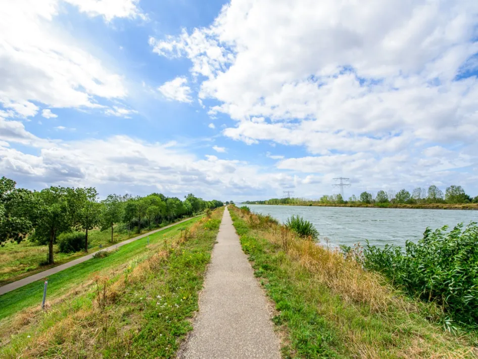 During the cycling loop Campsite Ittervoort, you ride along a straight dike by the river Maas with views of the water and the open green landscape