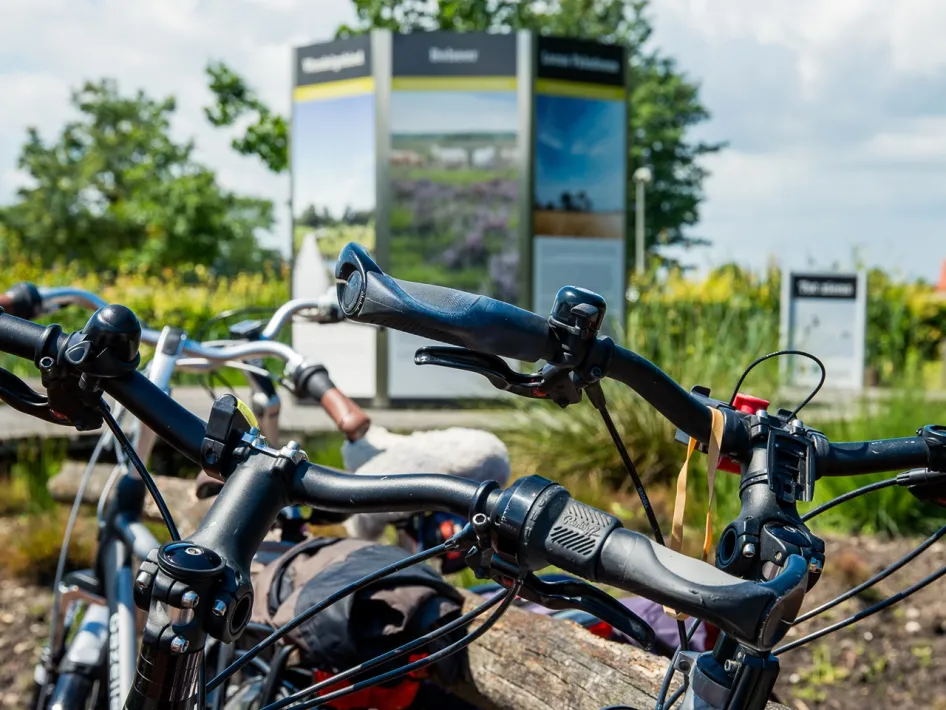 Fietsen met sturen en tassen op de voorgrond bij informatiebord langs de Heerlijke Peelroute in natuurgebied De Groote Peel