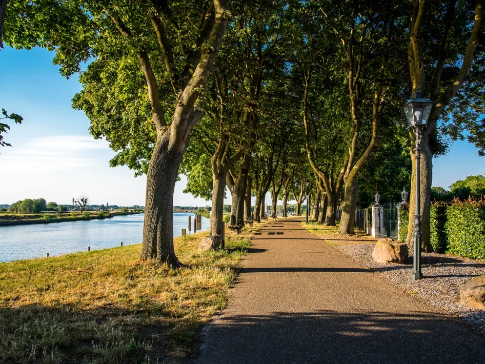Fietspad onder groene bomen langs de Maas bij Stevensweert