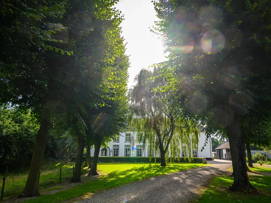 Een wit landhuis omringd door hoge bomen, met zonlicht dat door het bladerdak schijnt op een grindpad en groene grasvelden.