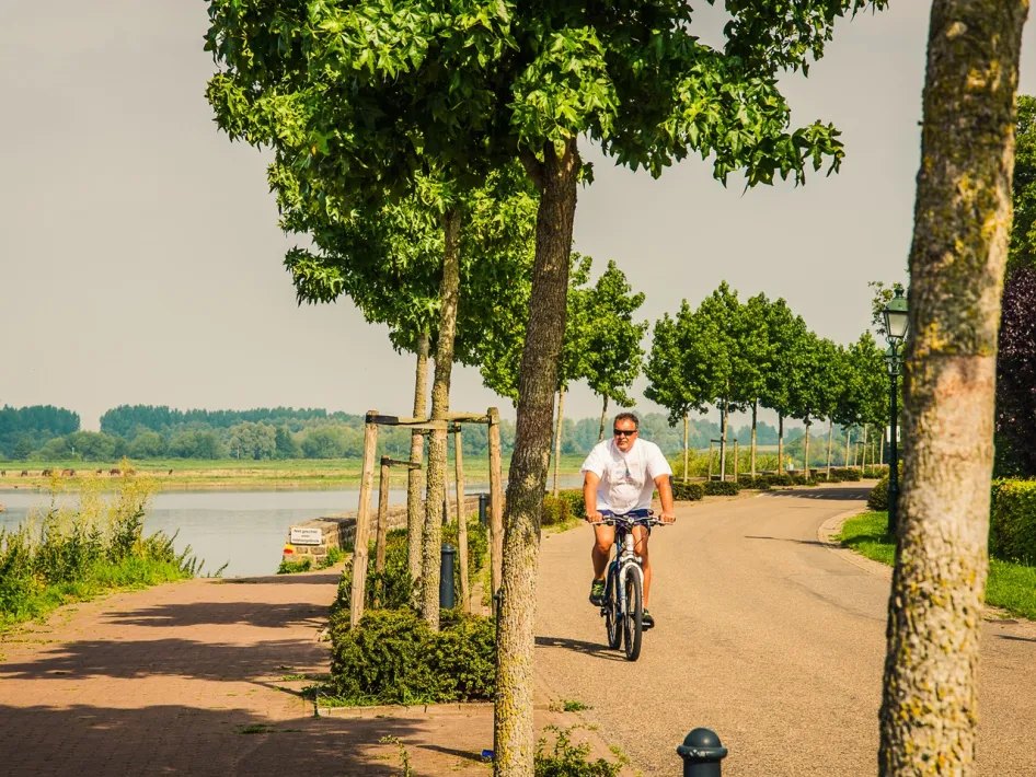 Fietser op de dijk bij Asselt met uitzicht over het water, een rustpunt op de fietsroute Ontdekkingstocht Roermond.