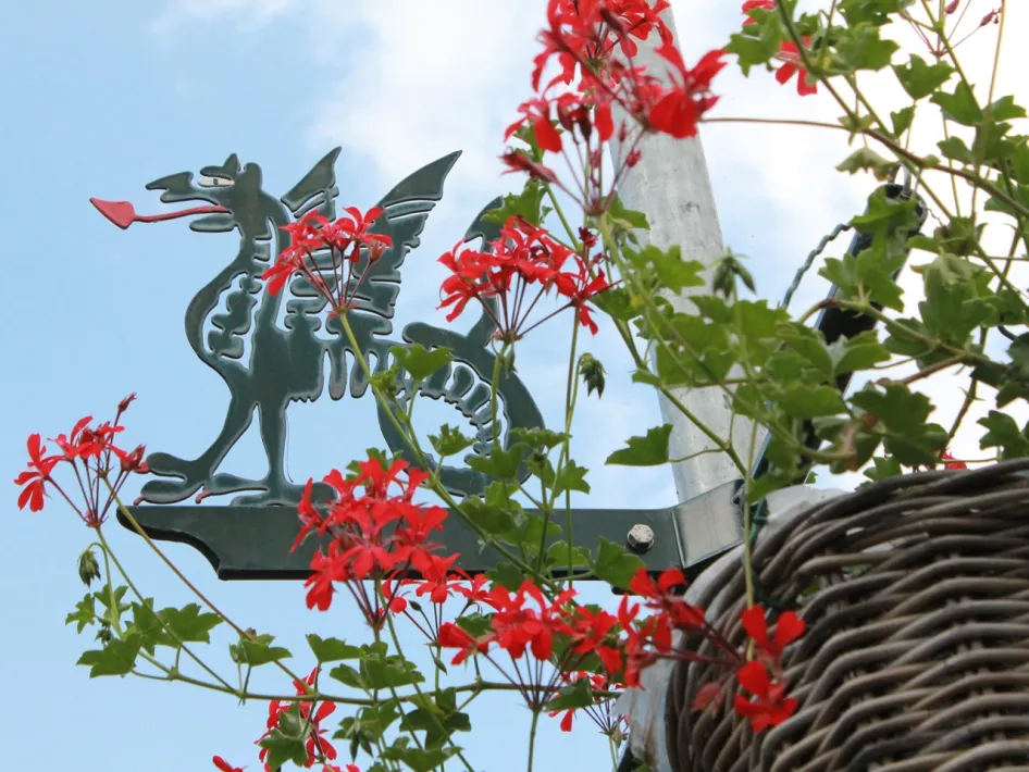 Green metal dragon with a red tongue attached to a lamppost, surrounded by red flowers and a blue sky in the background.