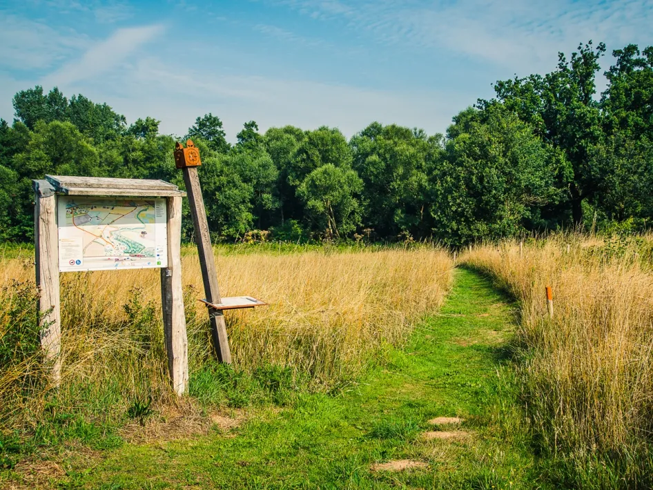 Wooden information board with map and route markings along a narrow grassy path through a field with tall yellow grass and green trees.