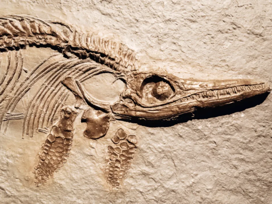 Archaologische Statte Steyl - Wasser fließt nicht nach oben 