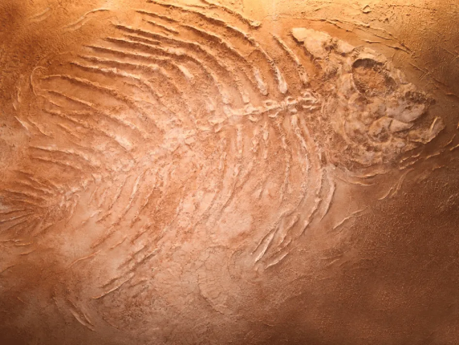 Archaologische Statte Steyl - Wasser fließt nicht nach oben 