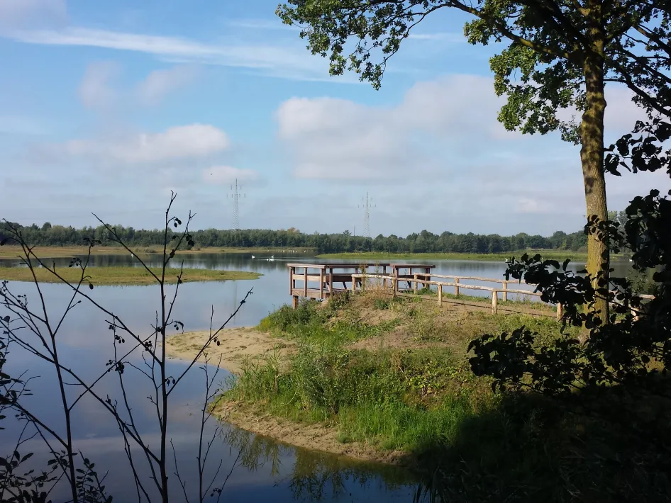 Uitzicht over een rustige waterplas met een houten uitkijkpunt aan de oever, omringd door gras en bomen onder een blauwe lucht.