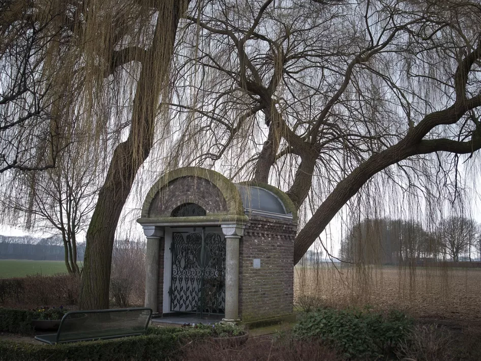 Geluksplek 24, de Treurwilgen van de Kerkberg, (foto: Anki Riteco)
