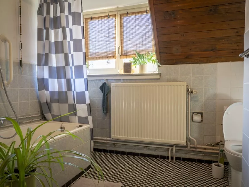 De badkamer van Bed and Breakfast Genaenhof 