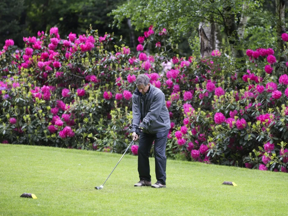 Golfer bereidt zich voor op een afslag bij golfbaan De Herkenbosche, met bloeiende rododendrons op de achtergrond.