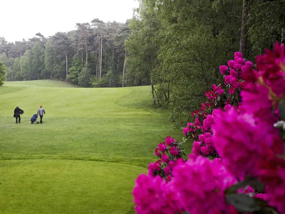 Twee golfers op een groene fairway van golfbaan De Herkenbosche, omringd door kleurrijke bloemen en bos.