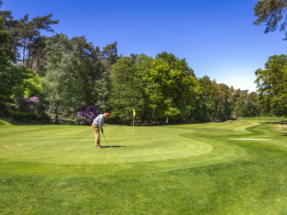 Golfer put op de green van golfbaan Herkenbosch onder een strakblauwe lucht, midden in het bos.