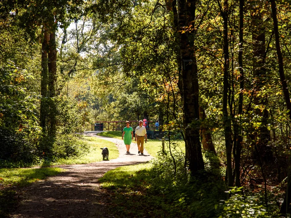 Wandelen Kempen Broek
