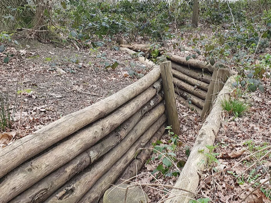 Gereconstrueerde houten loopgraven in het bos bij Reuver, zichtbaar tijdens de wandelroute Grenzgeschichten Reuver.