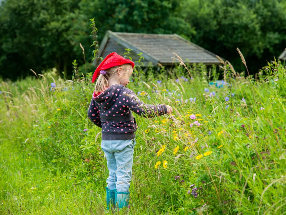 Meisje met kaboutermuts bekijkt de planten