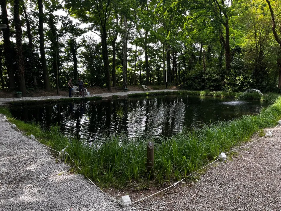 Twee vissers zitten aan een rustige visvijver in een schaduwrijk bosgebied, met fonteintje in het water.