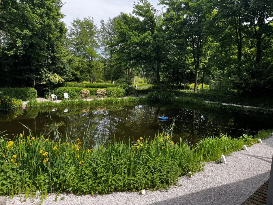 Überblick über einen idyllischen Angelteich mit Stühlen am Ufer, umgeben von grünen Bäumen und blühendem Schilf.