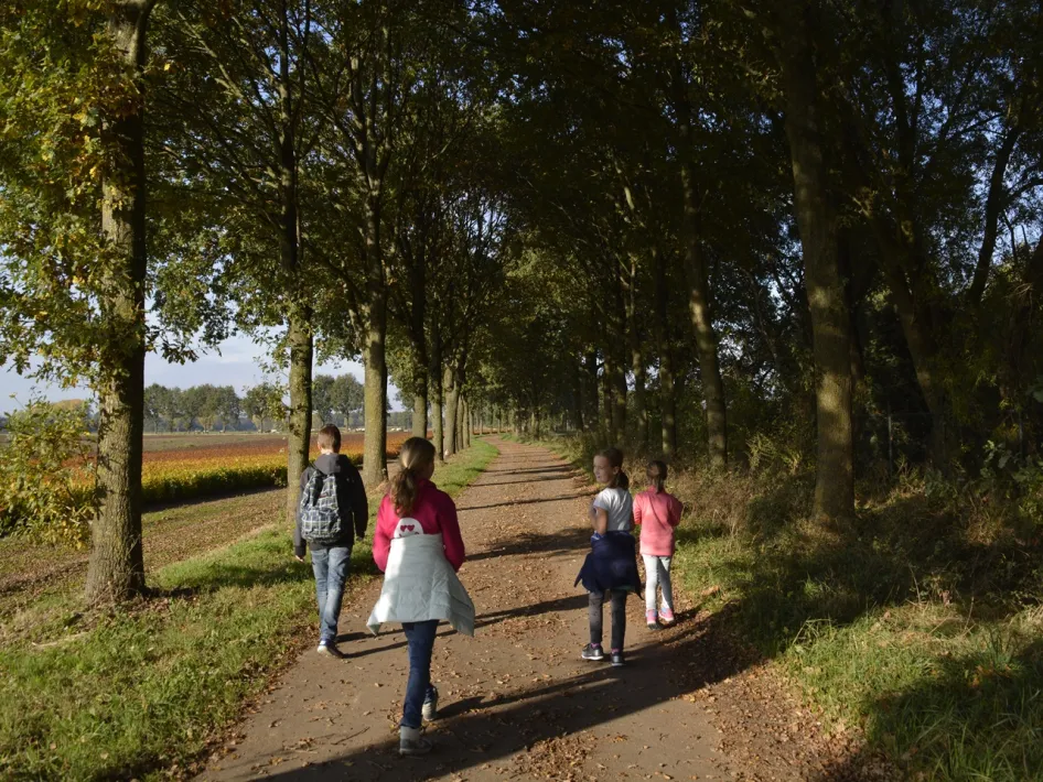 Group of children walking along a country lane lined with trees during a GPS based game