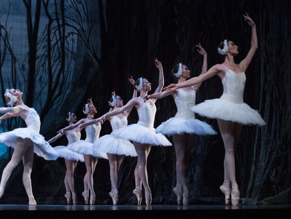 Ballerina's op een rij met hoofdrolspeelster hierbuiten, allen in witte tutu's alszijnde zwanen