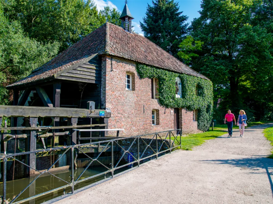 Samen wandelen in Het Leudal