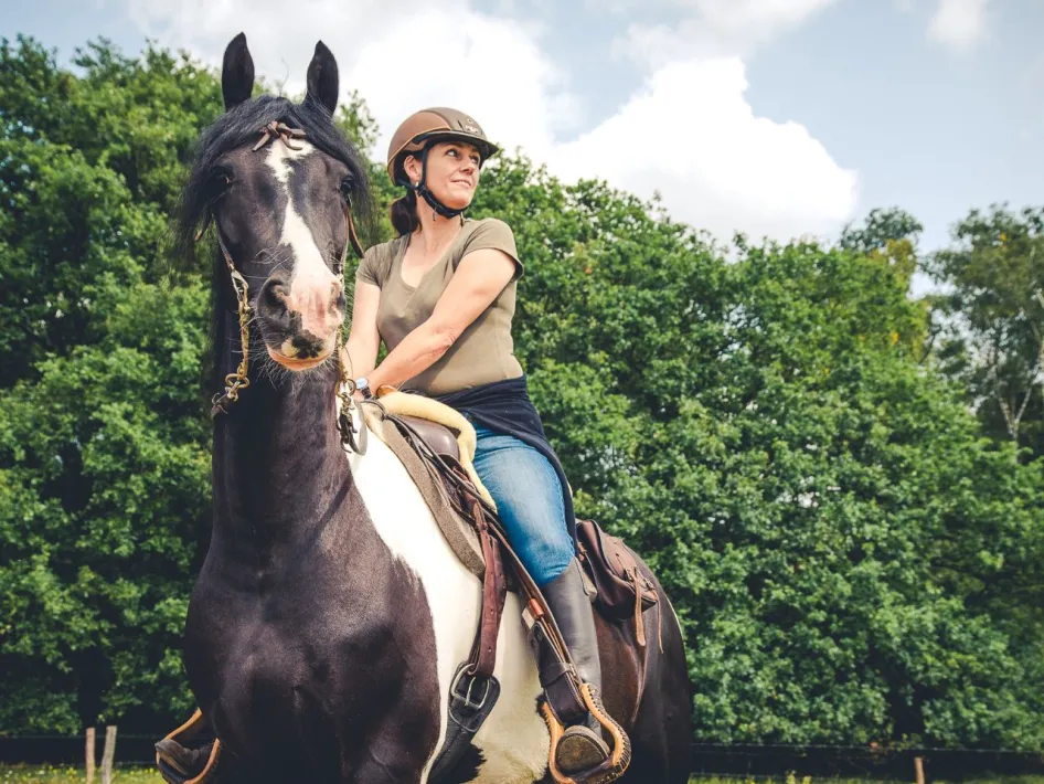 een vrouwelijke ruiter rijdt op een paard in een bosrijke omgeving