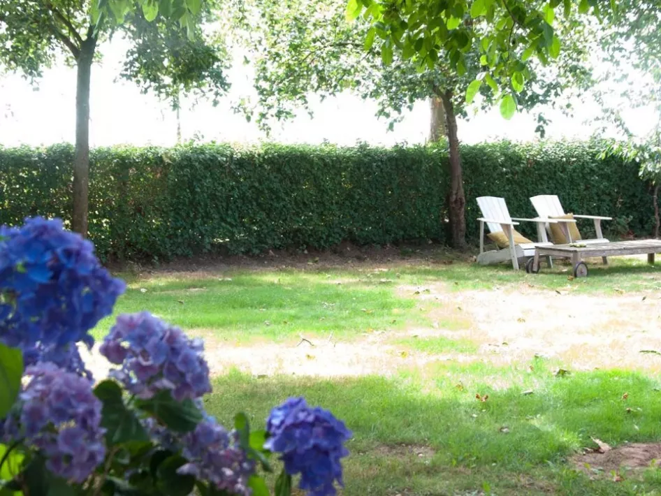 The garden of Hoeve Linnerveld with two loungers in it