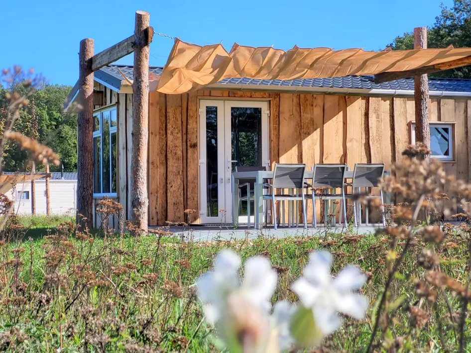 Nature chalet with terrace at Hoeve Twente